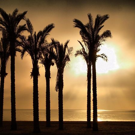 Apartamentos Estrella De Mar โรเกตัสเดมาร์ ภายนอก รูปภาพ