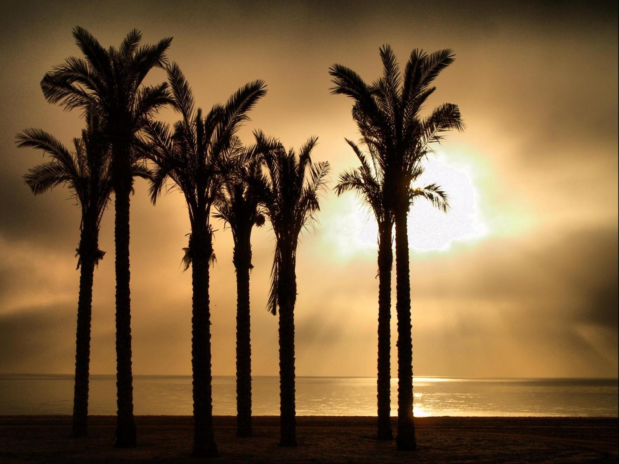 Apartamentos Estrella De Mar โรเกตัสเดมาร์ ภายนอก รูปภาพ